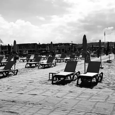 Le Petit Morny. Renove Lumineux Et *